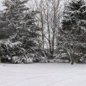 Meet your Posher, Kian